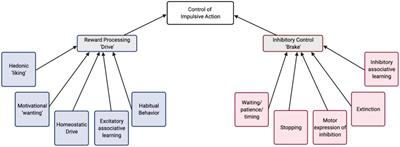 A Role for Serotonin in Modulating Opposing Drive and Brake Circuits of Impulsivity